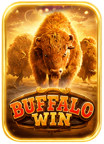 BUFFALO WIN